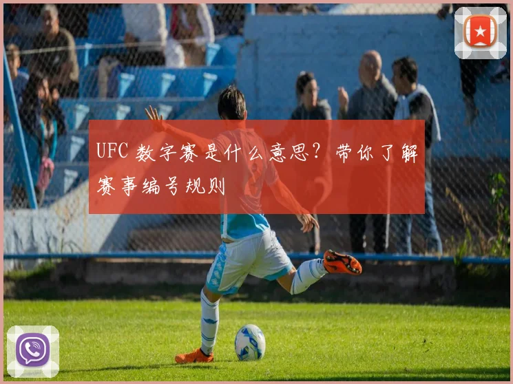 UFC 数字赛是什么意思？带你了解赛事编号规则