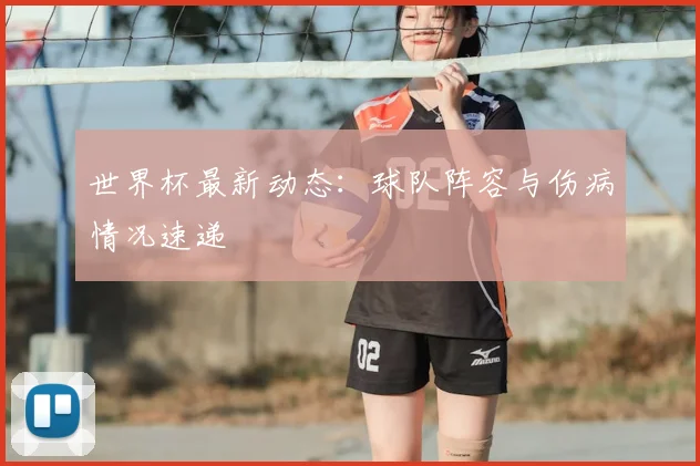 世界杯最新动态:球队阵容与伤病情况速递
