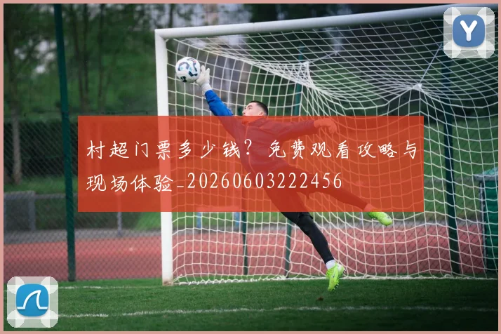 村超门票多少钱?免费观看攻略与现场体验_20260603222456