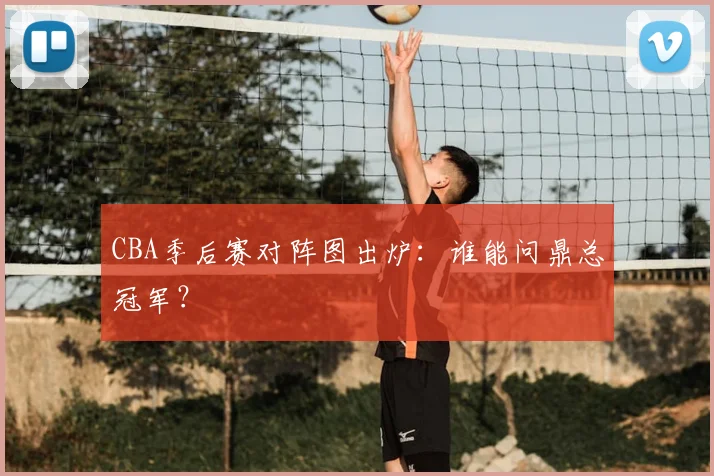CBA季后赛对阵图出炉：谁能问鼎总冠军？