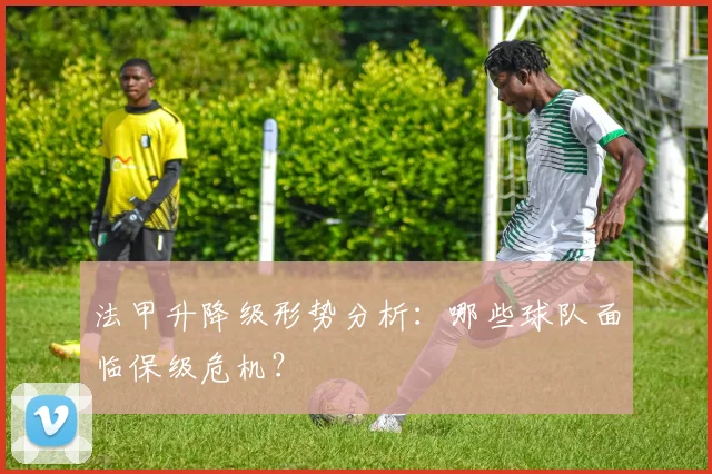 法甲升降级形势分析：哪些球队面临保级危机？