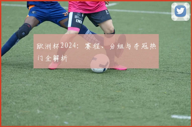 欧洲杯2024：赛程、分组与夺冠热门全解析